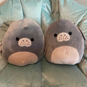 Matt- Seal Squishmallow